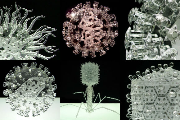 Picture of various viruses
